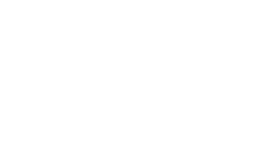 Bravx